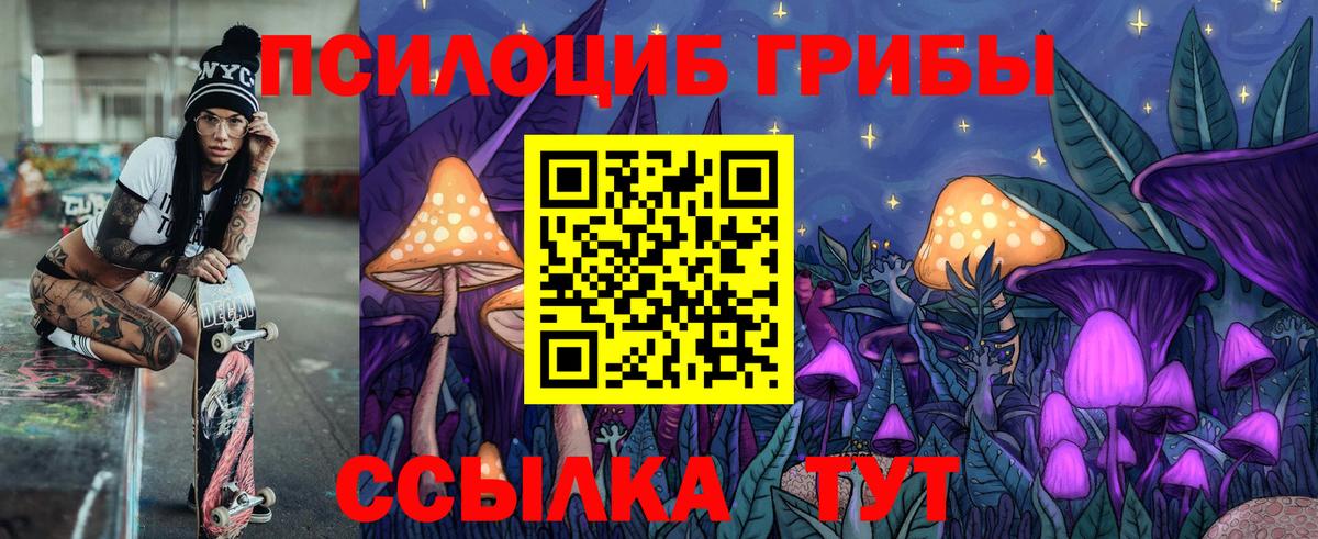 Псилоцибиновые грибы Psilocybine cubensis  сколько стоит  Магадан  Вход с VPN 