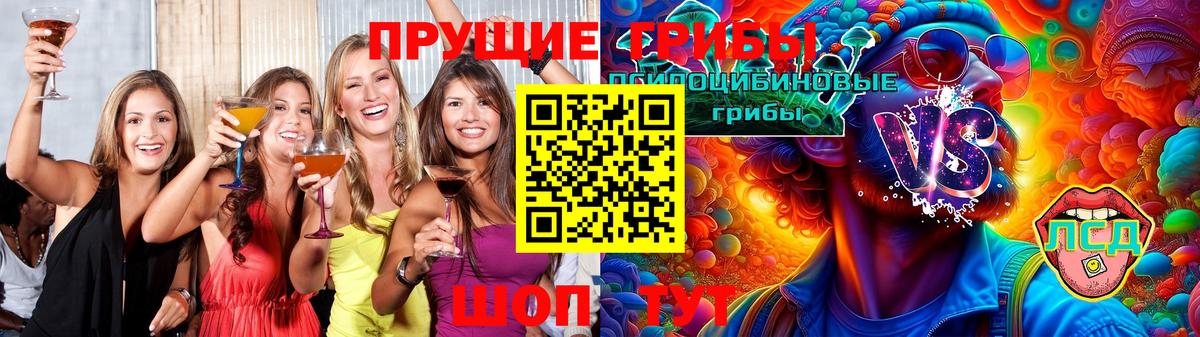 Псилоцибиновые грибы мухоморы Магадан